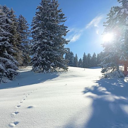 Ferien In Der Region Lenzerheide Lejlighed Eksteriør billede