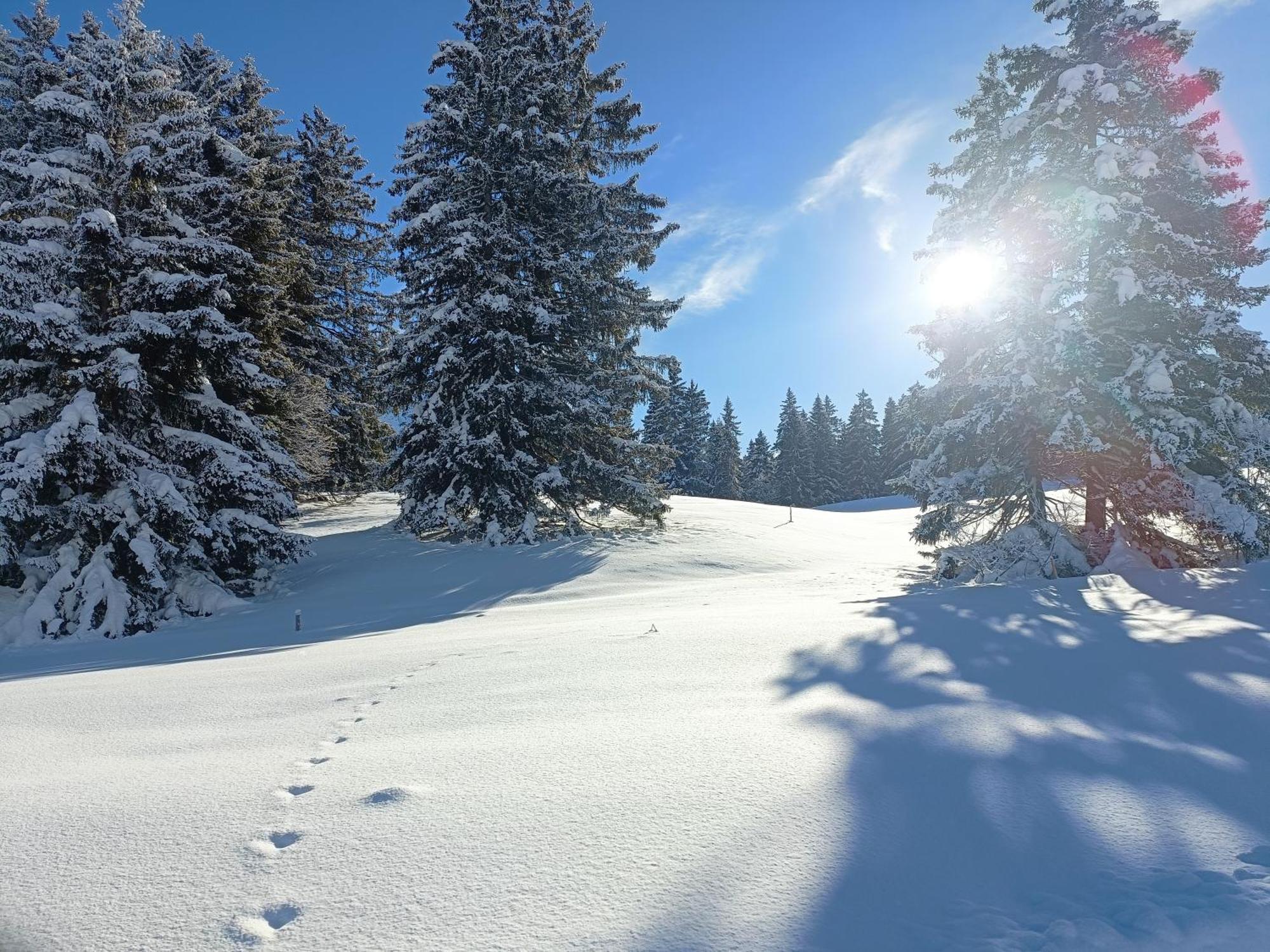 Ferien In Der Region Lenzerheide Lejlighed Eksteriør billede